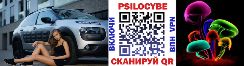 блэк спрут зеркало  Прохладный  Галлюциногенные грибы Psilocybe  цена  