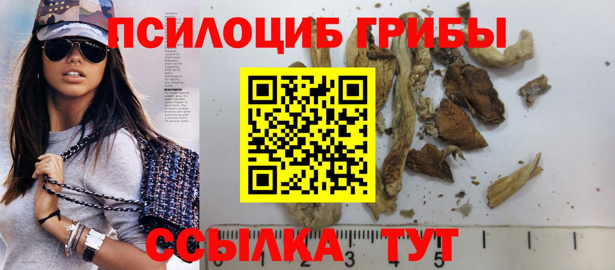 Прохладный  Псилоцибиновые грибы Psilocybine cubensis  Вход с VPN 