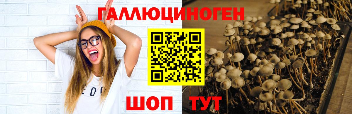 Псилоцибиновые грибы мицелий Прохладный