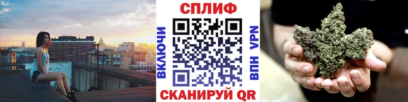 мориарти клад  Прохладный  Марихуана THC 21% 